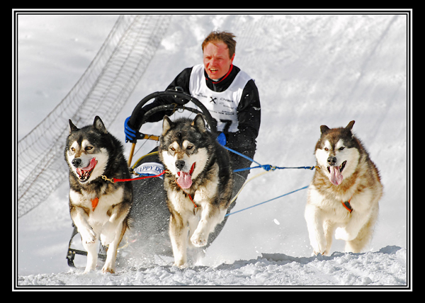 Februar 2010